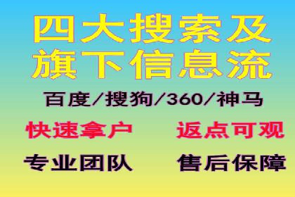百度竞价SEM案例：揭秘高效广告投放技巧